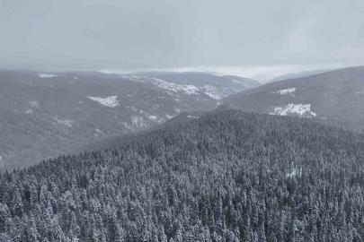 Beyaza bürünen Ilgaz Dağı havadan görüntülendi