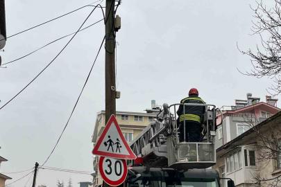 Beyşehir’de itfaiye merdiveni bu kez direğin tepesindeki kedi için uzatıldı