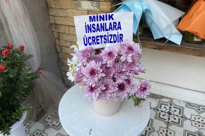 Bir saksıya ayırdığı çiçekleri küçük çocuklar için ücretsiz yaptı
