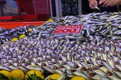 Bolu’da fırtına balık tezgahlarını vurdu