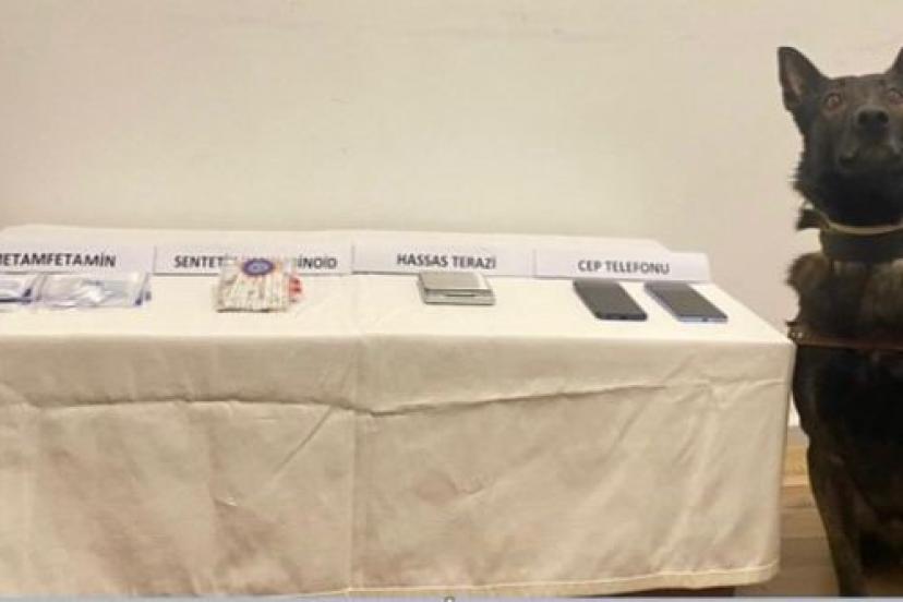 Bolu’da jandarmadan uyuşturucu operasyonu