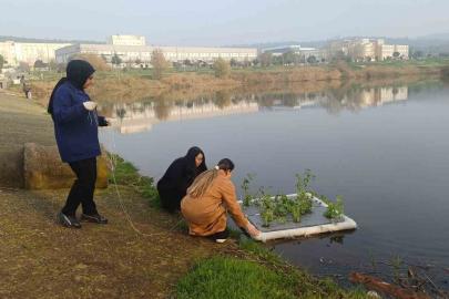 Botanik Bahçesinde "Yüzen Adacıklarla Gölet Temizliği" yapılıyor