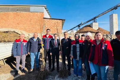 Bozdoğan’da 8 bin 700 adet fidan dağıtıldı