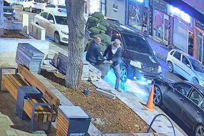 Bu da ağaç hırsızlığı: Parktaki ağacı araçla çaldılar