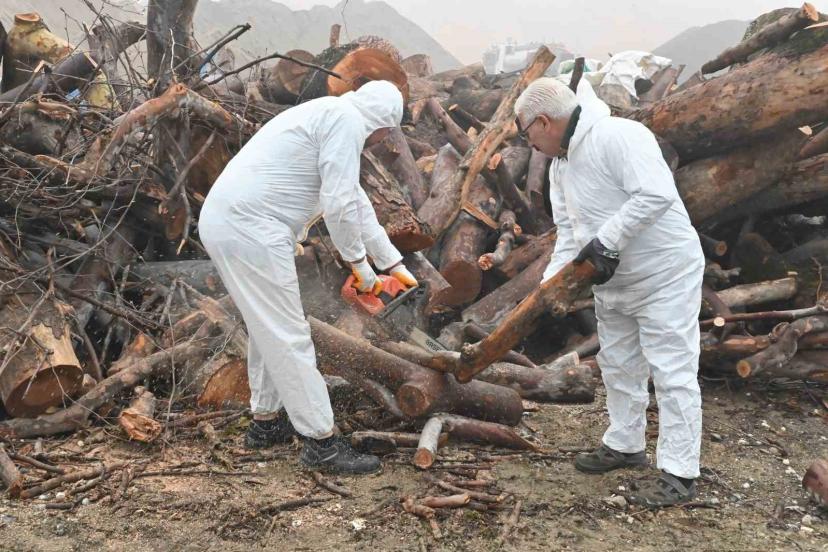 Budanan ağaç dalları ihtiyaç sahiplerini ısıtıyor