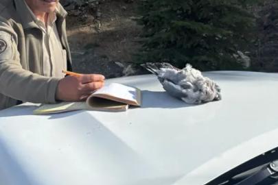 Burdur’da kaçak avcılar ekiplere yakalandı