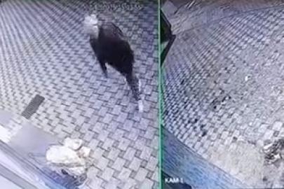 Bursa’da pazar arabası hırsızlığı