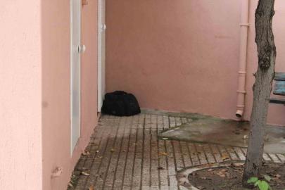 Camii avlusunda şüpheli çanta paniği