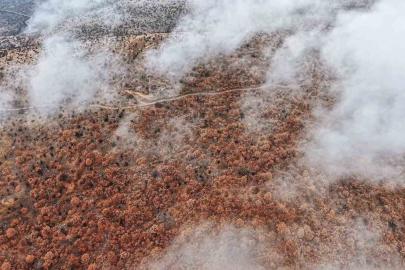 Çankırı’da sis ve kızıla bürünen ormanların buluşması mest etti