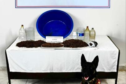 Çankırı’da uyuşturucu operasyonu: 1 gözaltı