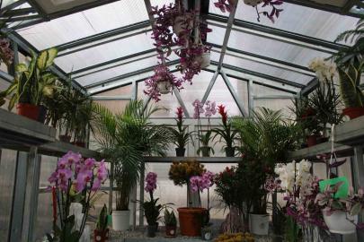 "Çiçek Doktoru" Ersan: "İnsanlar bitkileriyle ilgili yaşamış oldukları sorunları bana iletiyor, ben de onlara çözümler üretiyorum"