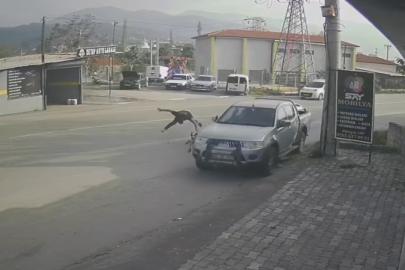 Ciple çarpışan motosikletin sürücüsü metrelerce savruldu