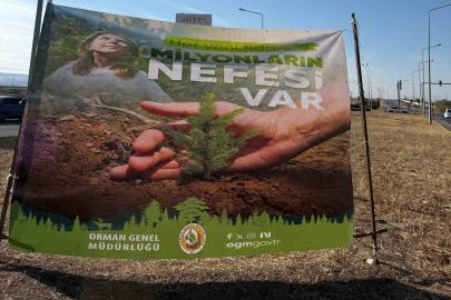 Cizre’de havalimanı yolu 450 fidan ile yeşilleniyor