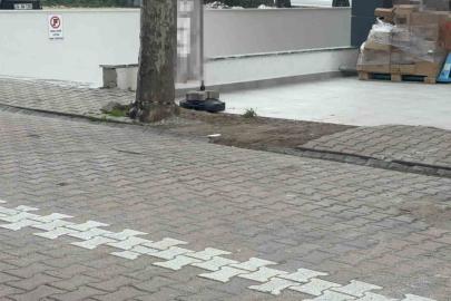 Çöpe atmak için yerden aldığı kargo poşetinin içinden 60 bin dolar çıktı