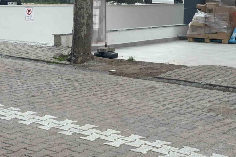 Çöpe atmak için yerden aldığı kargo poşetinin içinden 60 bin dolar çıktı