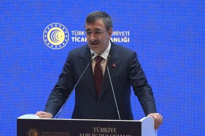 Cumhurbaşkanı Yardımcısı Yılmaz: "Ocak ayı enflasyon rakamıyla birlikte enflasyonda 20’li rakamları göreceğiz"