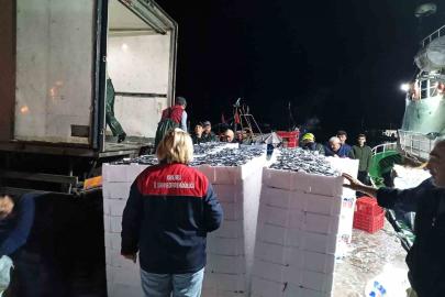 Demirköy’de hamsi denetimi