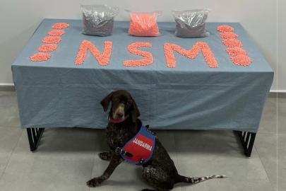 Denizli’de jandarma narkotik ekipleri zehir tacirlerine göz açtırmıyor