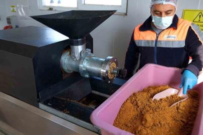 Didim’de her geri dönüşüm, can dostlara umut olacak