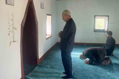 Diyarbakır’da bir caminin mihrap kısmındaki duvardan çıkan bitkinin yaprakları yeşerdi