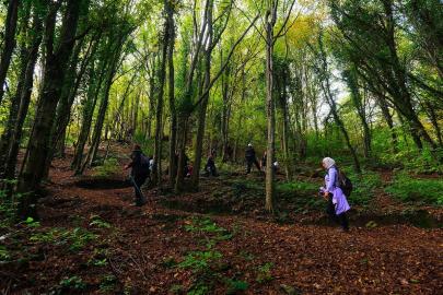 Doğaseverler Sakarya’nın eşsiz doğasını keşfetti
