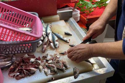 Doğru bilinen yanlışı uzmanı açıkladı: "Gözüne bakıp tazeliğini anlarım diyen yalan söyler"