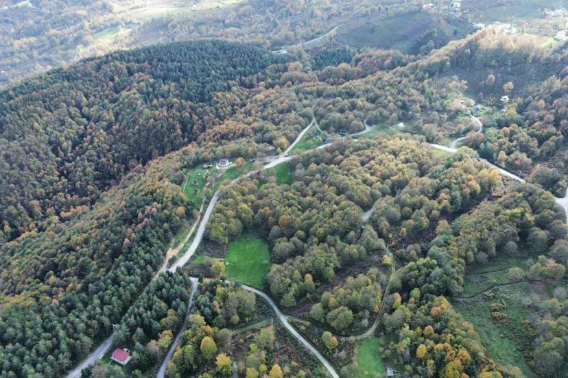 Düzce ormanlarında "renk cümbüşü" yaşanıyor
