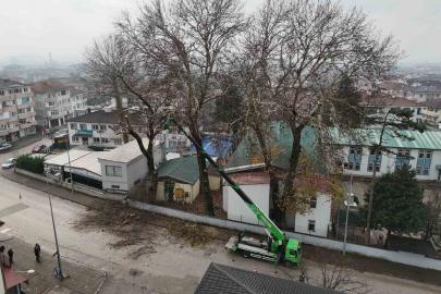 Düzce’de ağaçlara kış bakımı