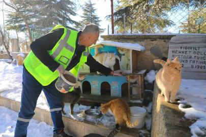 Elazığ’da doğaya yem bırakıldı