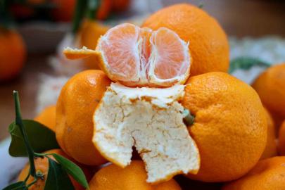 En ucuz meyve  mandalina: Dalında 3, pazarda 5 lira