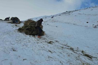 Erciş’te asırlık kış mesaisi: Otlar kızaklarla köye taşınıyor