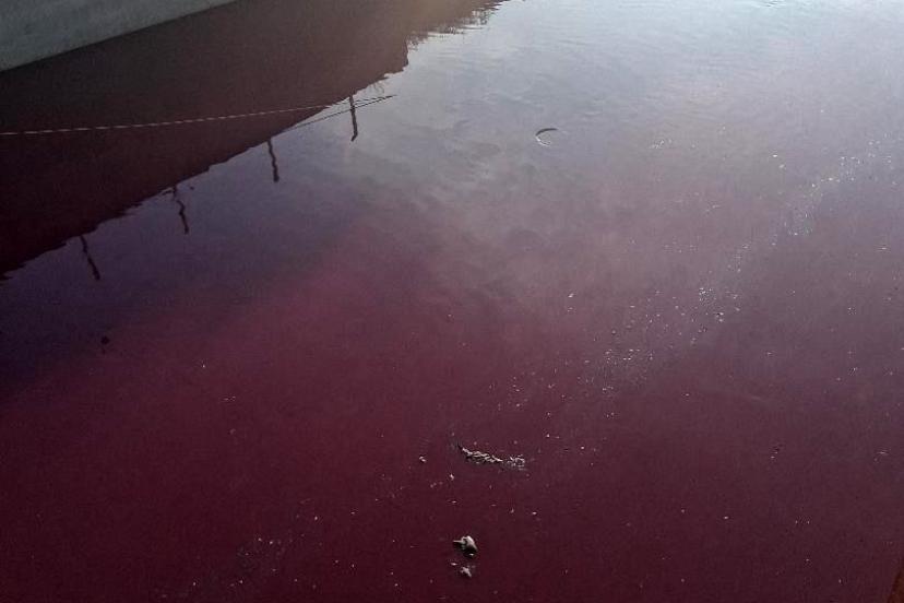 Esenyurt’ta derenin rengi kırmızıya döndü