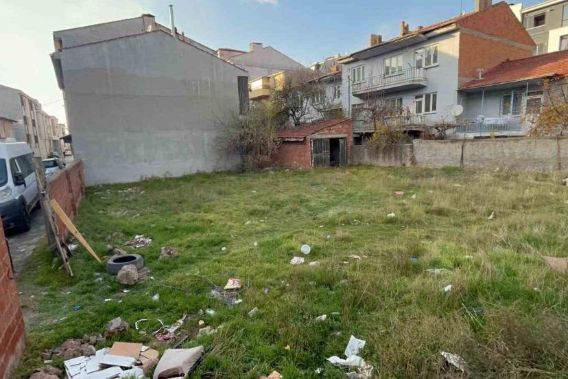 Eskişehir’de boş arsada 8 ölü kedi bulundu