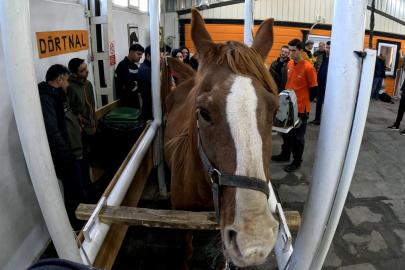 Eskişehir’de ’Kısraklarda Suni Tohumlama Eğitimi’ başarıyla tamamlandı