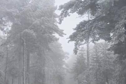 Eskişehir’e mevsimin ilk karı yağdı