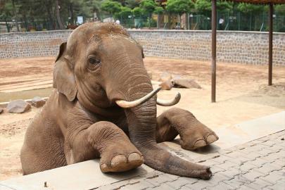 Fatma Şahin’den CHP’li Başarır’a yalanlama