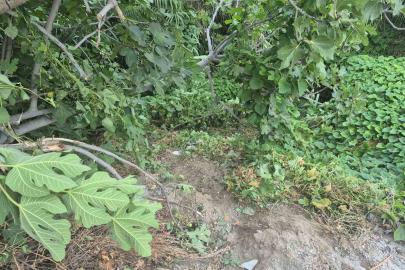 Fethiye’de kazada yaralanan genç, 123 günlük hayat mücadelesini kaybetti