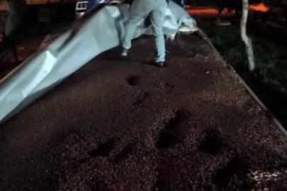 Fındıkla kamufle edilen tırdan 30 milyonluk kaçak makaron çıktı: 4 gözaltı