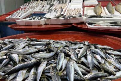 Geciken kış Konya’da balığı da vurdu