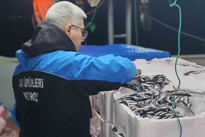 Gelibolu’da 45 kilo balığa el konuldu, 37 bin 770 lira para cezası kesildi