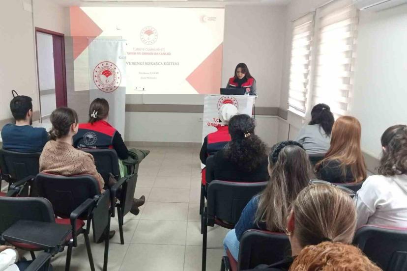 Gelibolu’da kahverengi kokarca ile mücadele eğitimleri devam ediyor