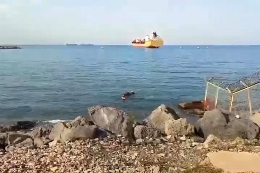 Gemiden denize düşen angus yüzerek karaya ulaştı