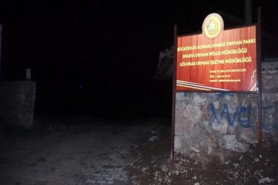 Gökyüzündeki bilinmeyen ışık paniğe neden oldu: Gerçek göktaşı çıktı