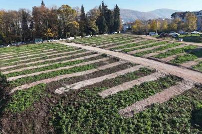 Gölcük’e yeni mezarlık alanları hazırlandı
