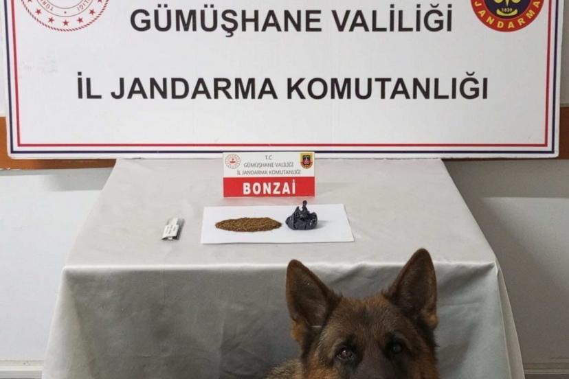 Gümüşhane’de uyuşturucu operasyonu