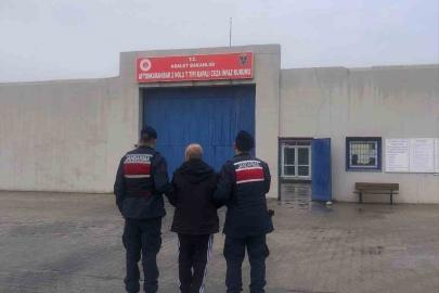 Hapis cezasıyla aranan şahsı jandarma yakaladı