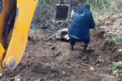 Hatay’da dereye düşen inek itfaiye ekipleri tarafından kurtarıldı