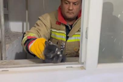 Hatay’da havalandırma boşluğuna düşen yavru kedi kurtarıldı