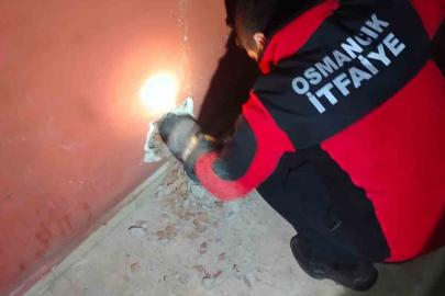 Havalandırma boşluğuna düşen kediyi itfaiye kurtardı