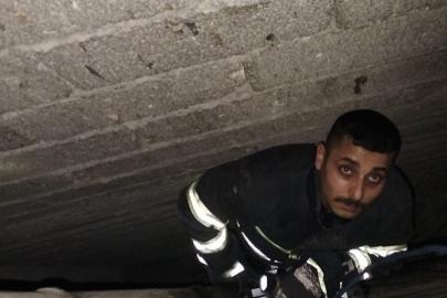 Havalandırma boşluğuna düşen yavru kediyi itfaiye kurtardı